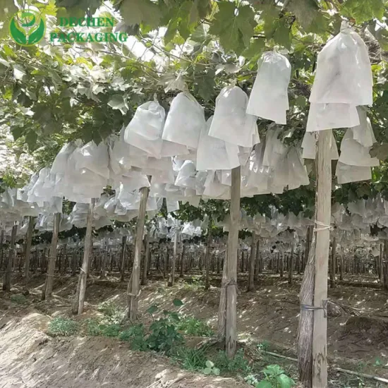 Bolsa de proteção especial para controle de pragas de frutas ao ar livre para cultivo de uvas resistentes a raios UV para manga